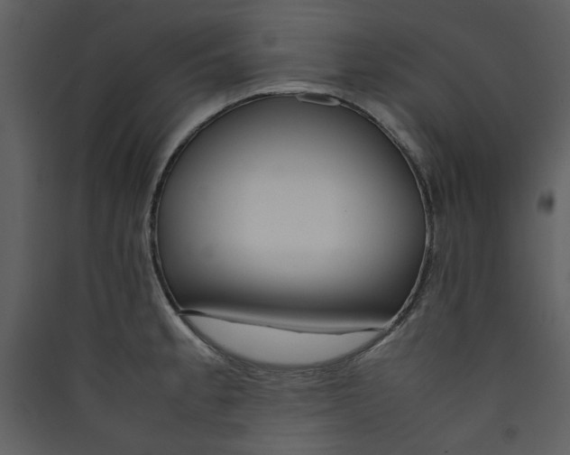 X0000089361189200707131608