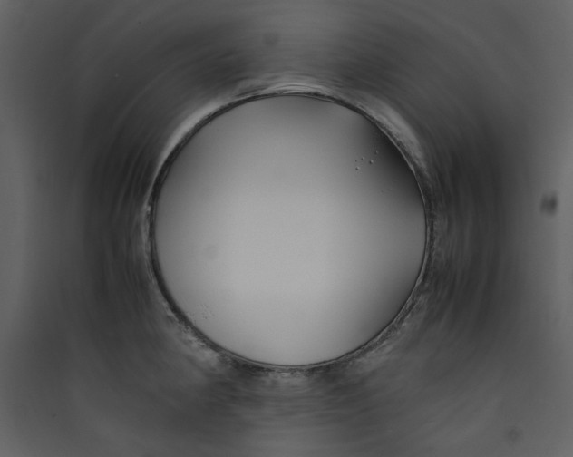 X0000089361190200707131608