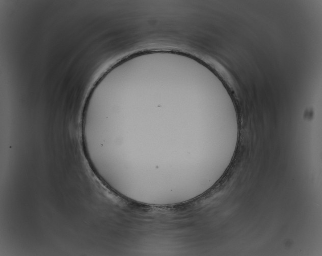 X0000089361191200707131608