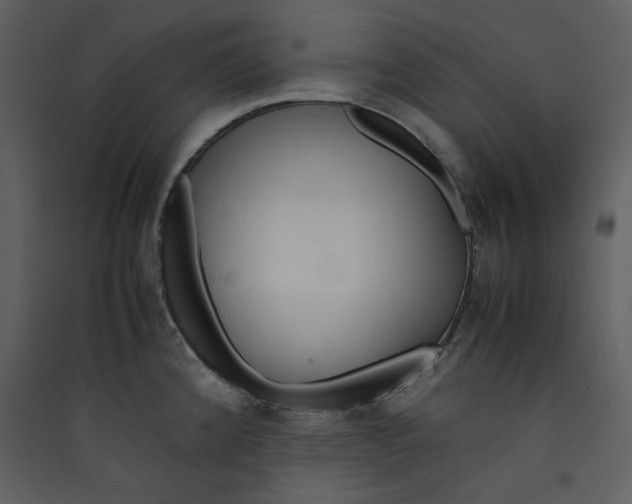 X0000089361192200707131608