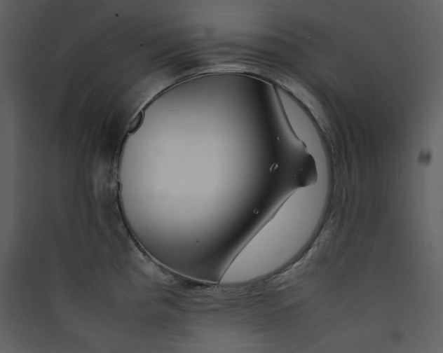 X0000089361193200707131608