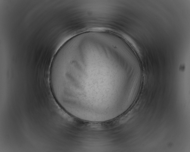 X0000089361194200707131608
