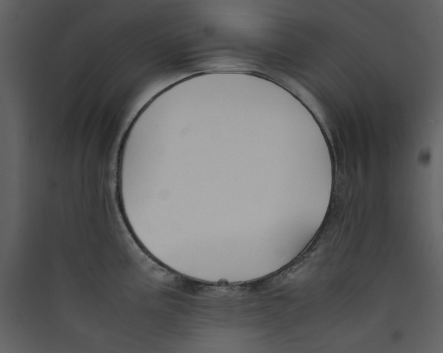 X0000089361195200707131608