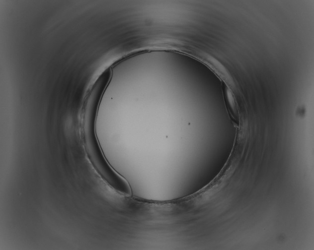 X0000089361196200707131608