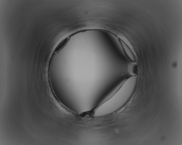 X0000089361197200707131608