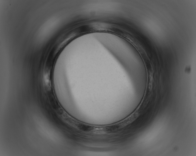 X0000089361198200707131608