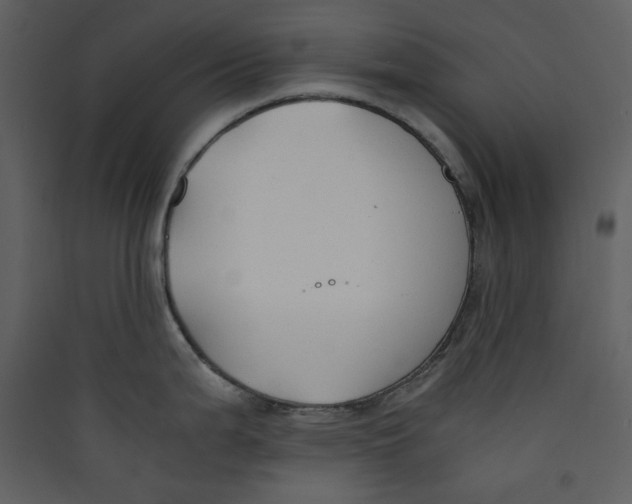 X0000089361199200707131608