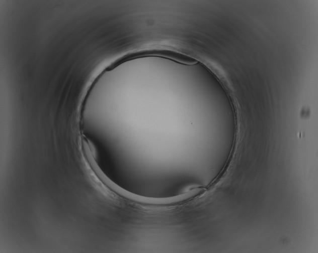 X0000089361200200707131608