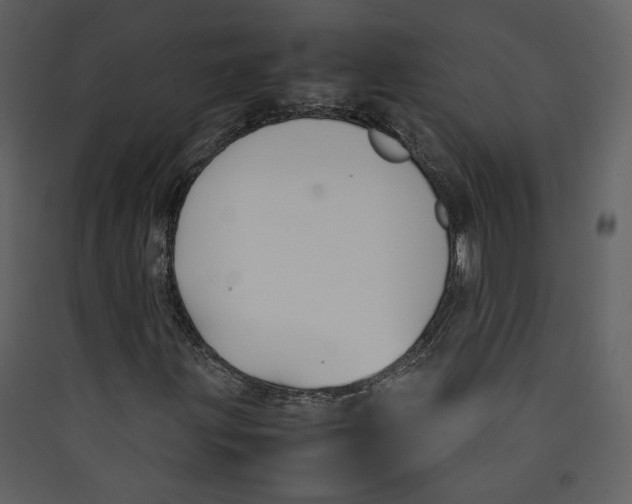 X0000089361203200707131608