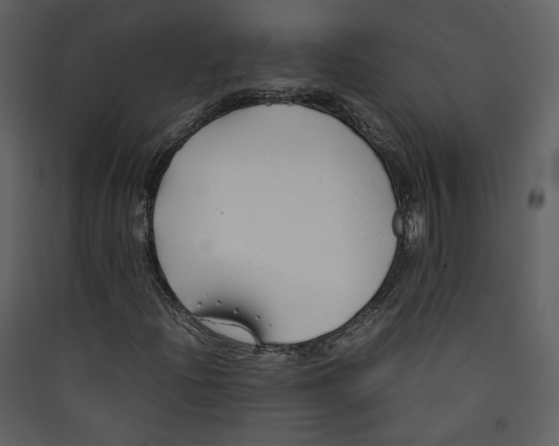 X0000089361204200707131608