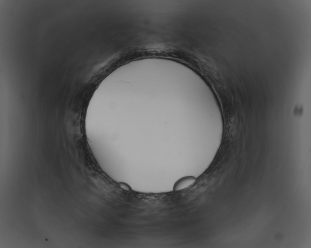 X0000089361205200707131608