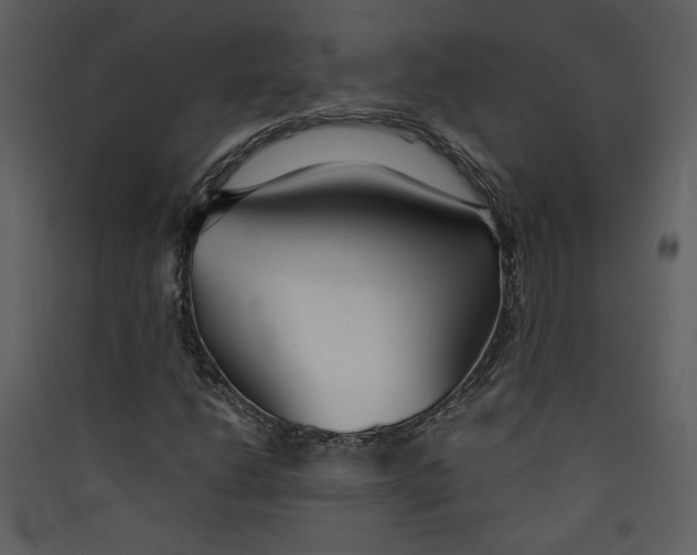 X0000089361206200707131608