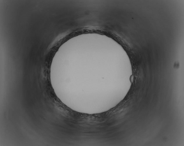 X0000089361207200707131608