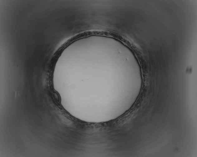 X0000089361208200707131608
