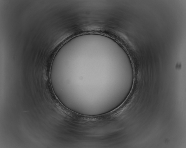 X0000089361209200707131608
