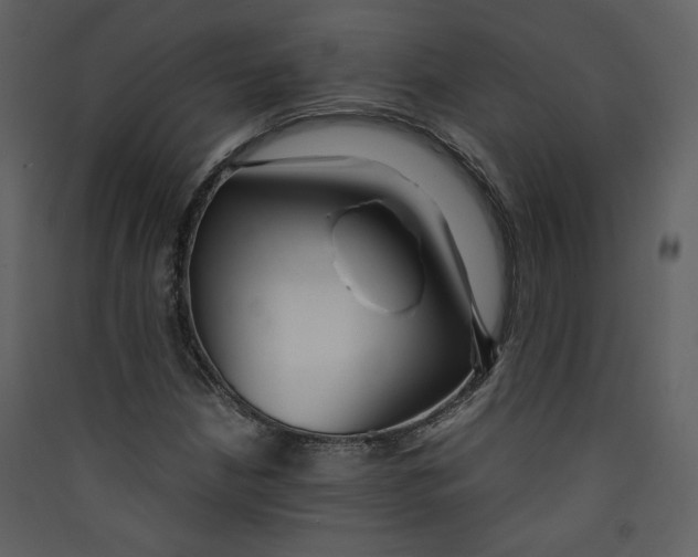 X0000089361210200707131608