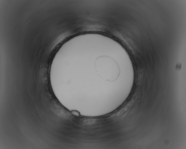 X0000089361211200707131608