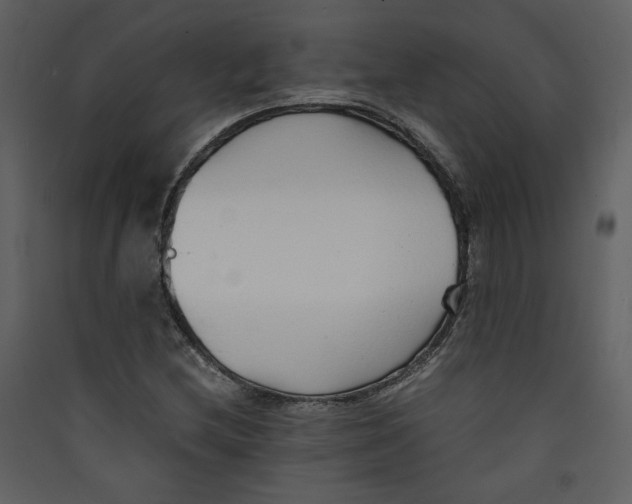 X0000089361212200707131608