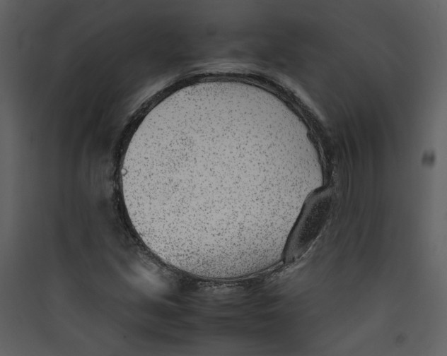 X0000089361213200707131608