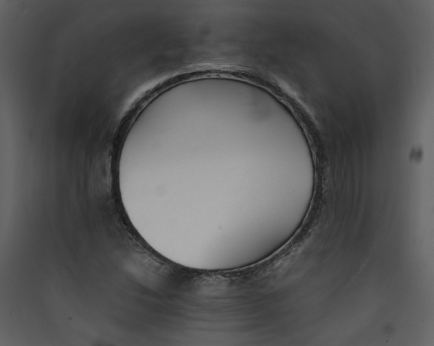 X0000089361214200707131608