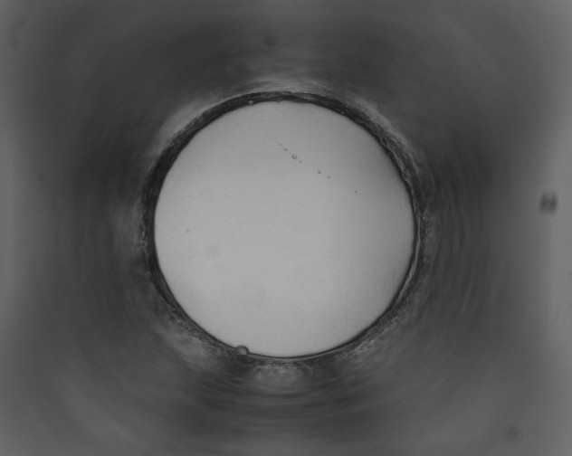 X0000089361215200707131608