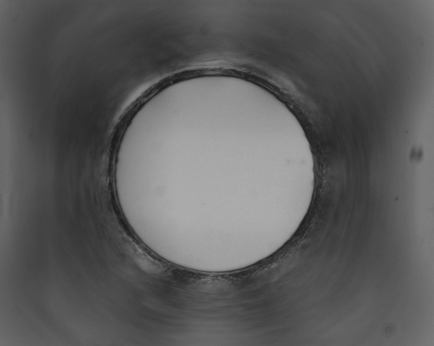 X0000089361216200707131608
