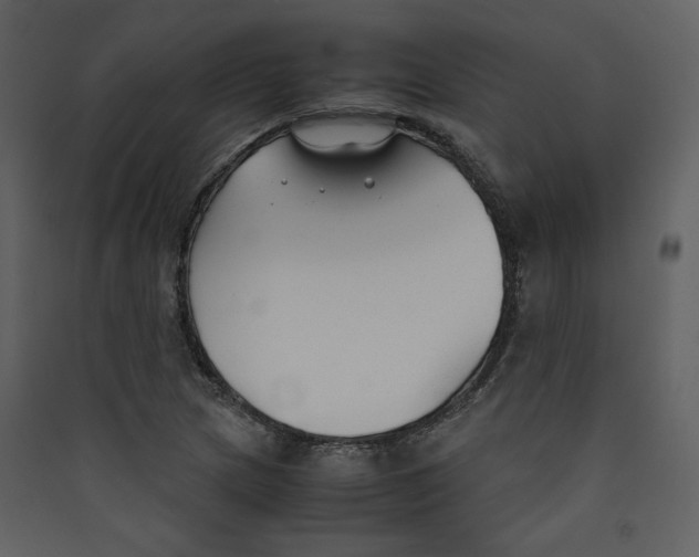 X0000089361217200707131608