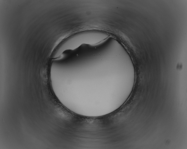 X0000089361218200707131608
