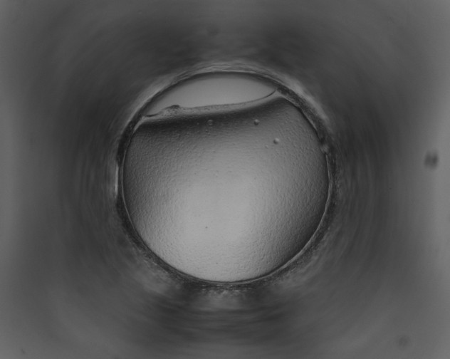 X0000089361221200707131608