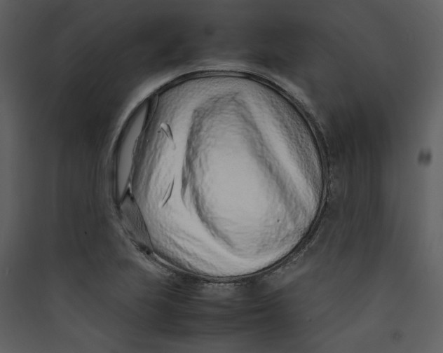 X0000089361223200707131608