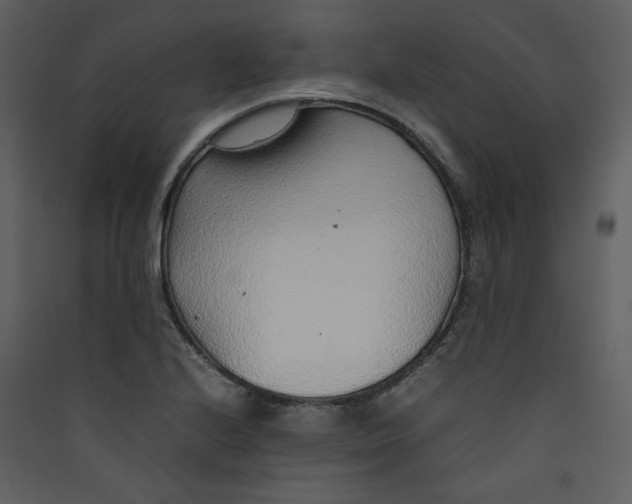 X0000089361224200707131608