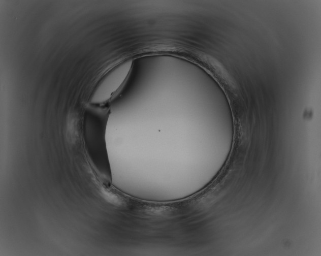 X0000089361225200707131608
