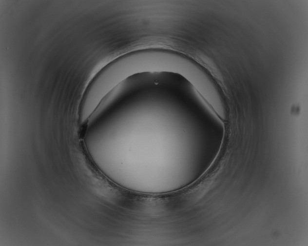 X0000089361226200707131608