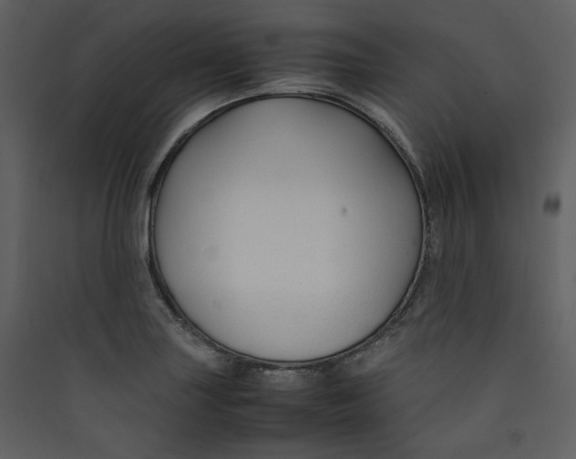 X0000089361227200707131608