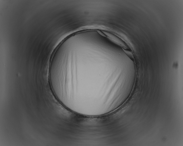 X0000089361228200707131608