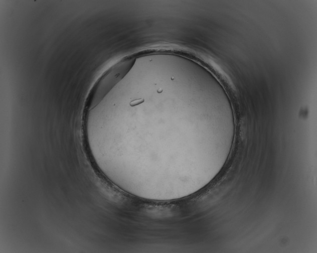 X0000089361229200707131608