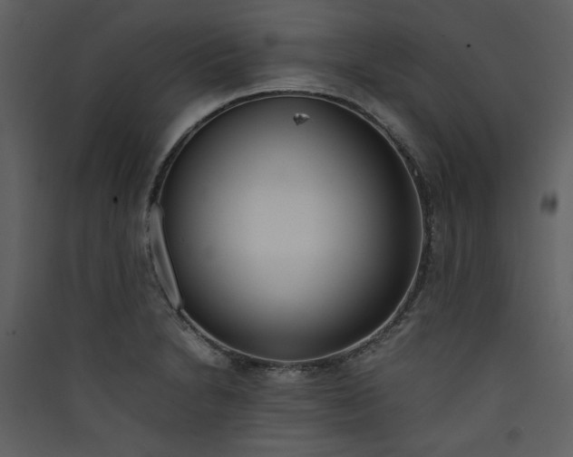 X0000089361230200707131608