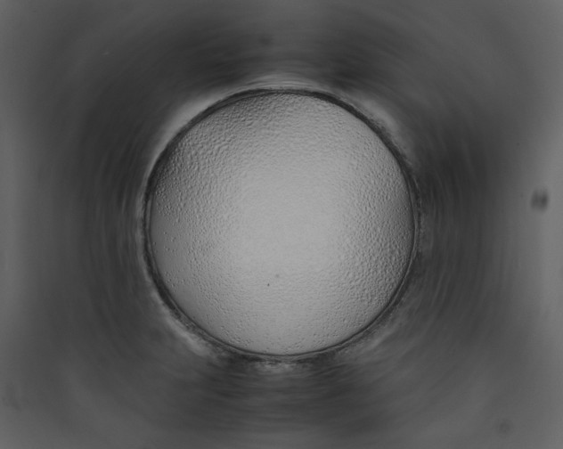 X0000089361231200707131608