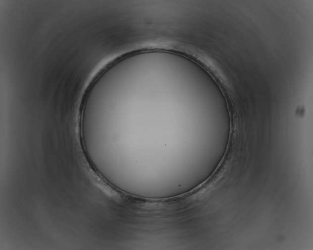 X0000089361232200707131608