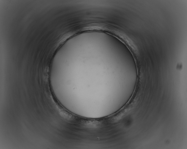 X0000089361233200707131608