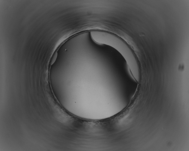X0000089361234200707131608