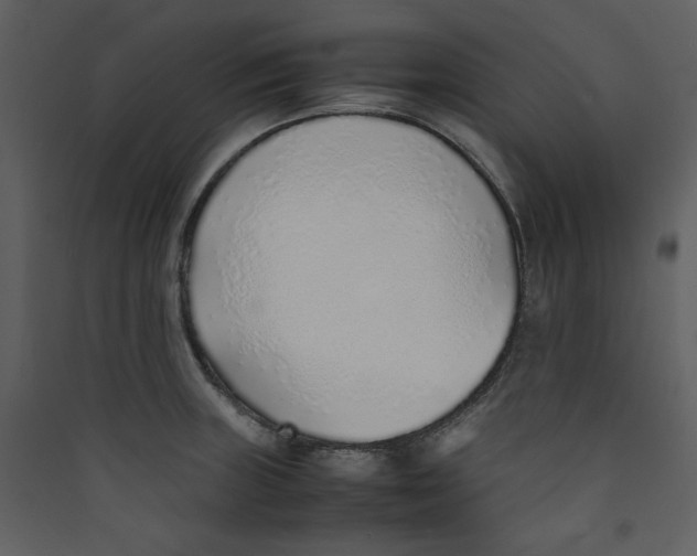 X0000089361235200707131608
