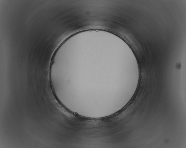 X0000089361236200707131608