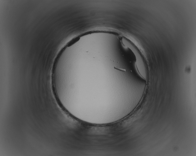 X0000089361237200707131608