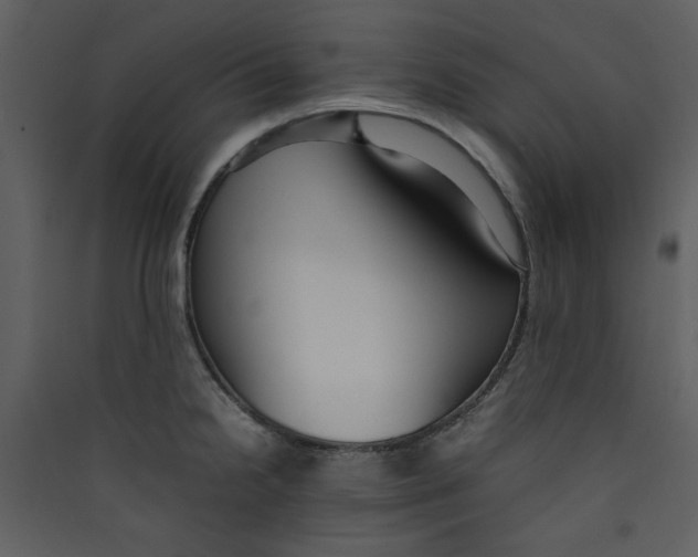 X0000089361238200707131608
