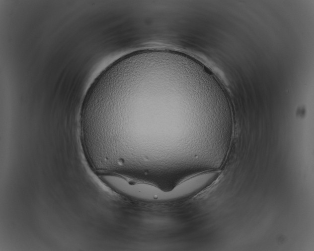 X0000089361239200707131608