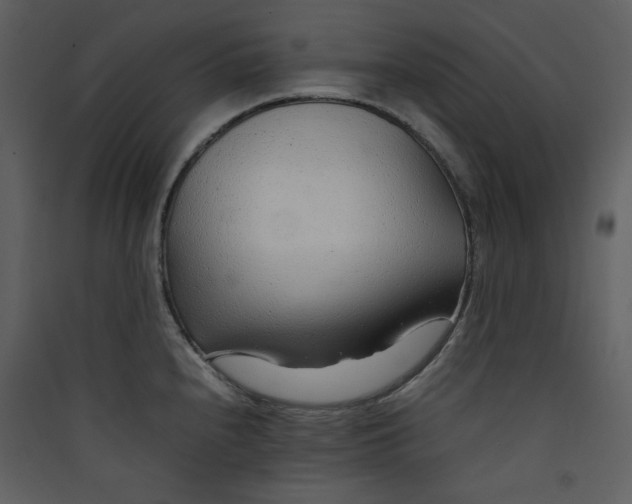 X0000089361240200707131608