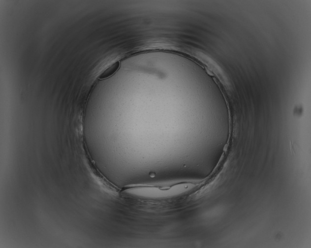 X0000089361241200707131608