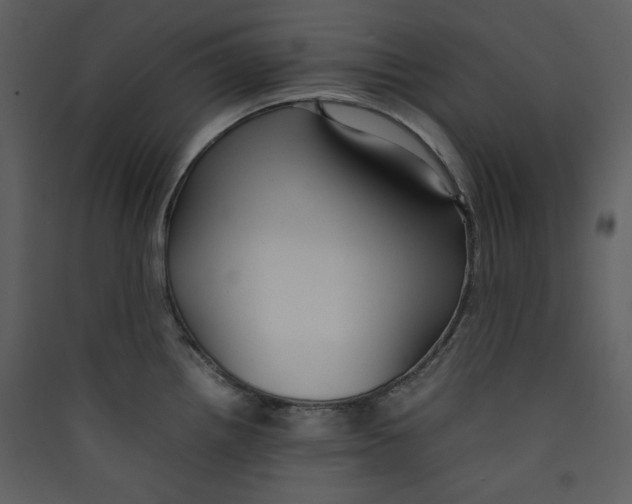 X0000089361242200707131608