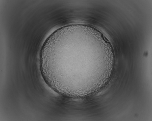 X0000089361243200707131608